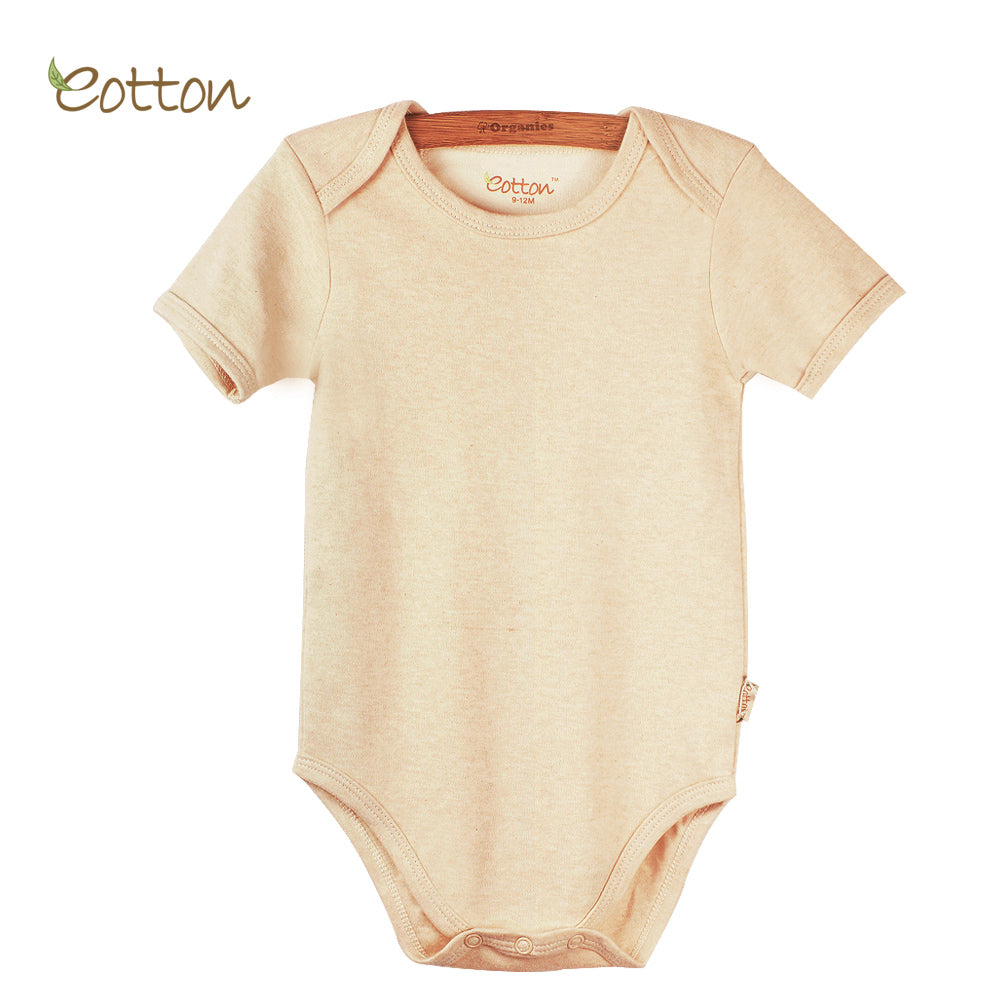 Organic Short Sleeve Bodysuit with Envelop Neck in Milk / Stripes / Caramel