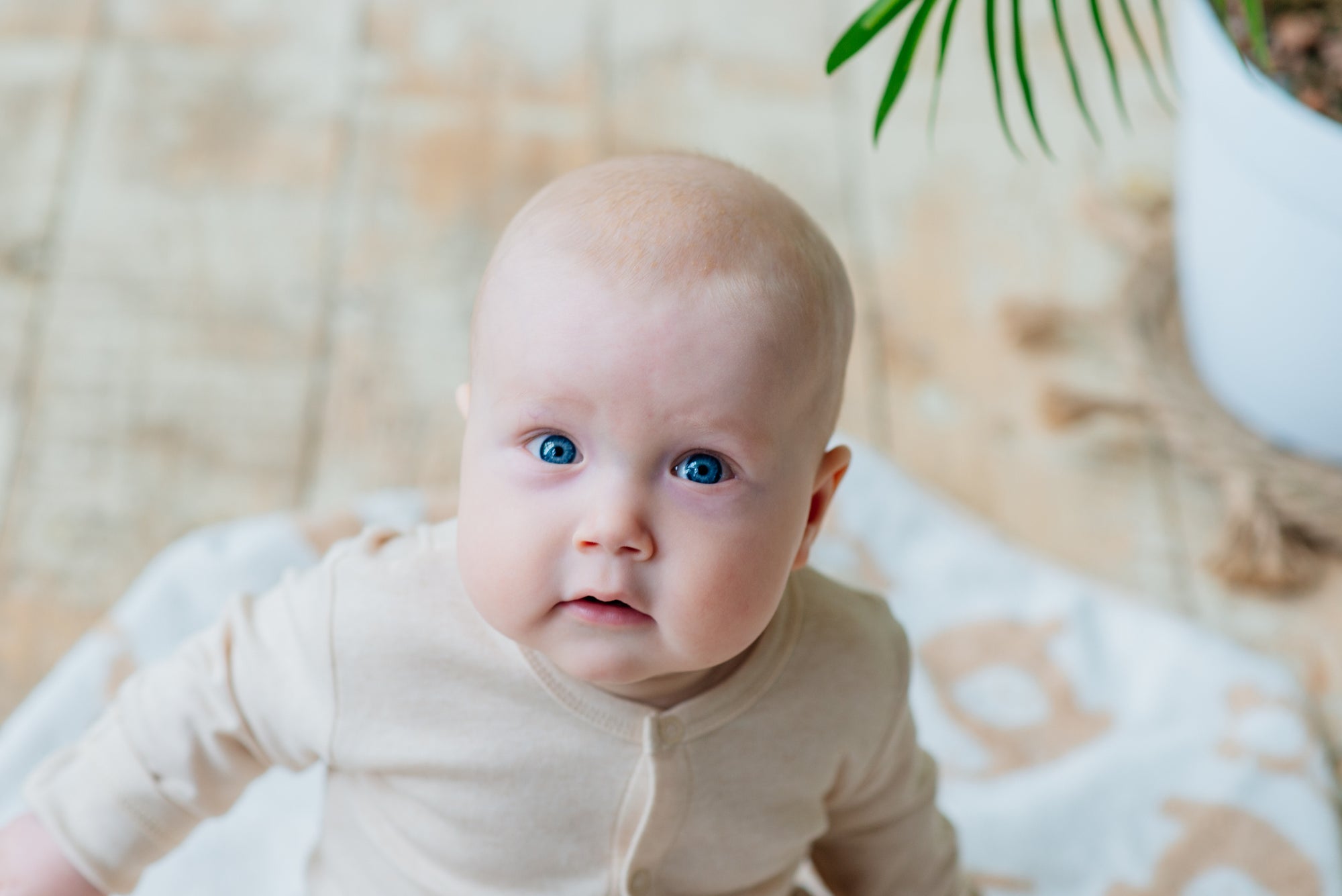 100% Organic Cotton Long Sleeve Sleepsuit