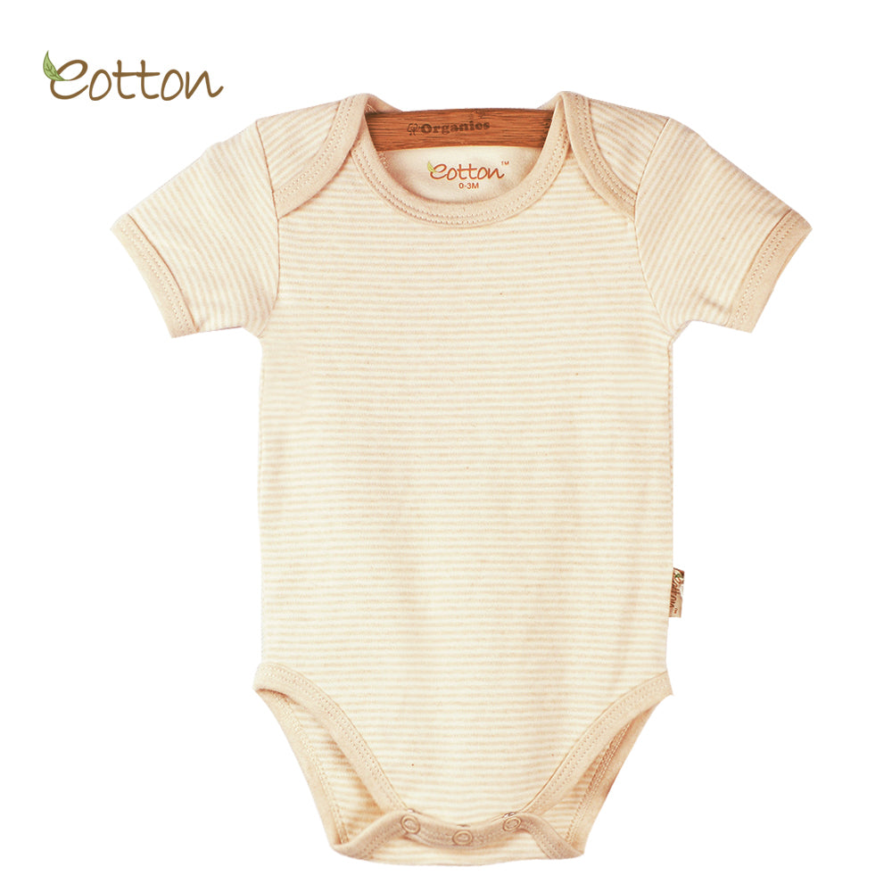 Organic Short Sleeve Bodysuit with Envelop Neck in Milk / Stripes / Caramel