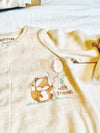 Organic Cotton Little Fox Luxury Baby Gift Set