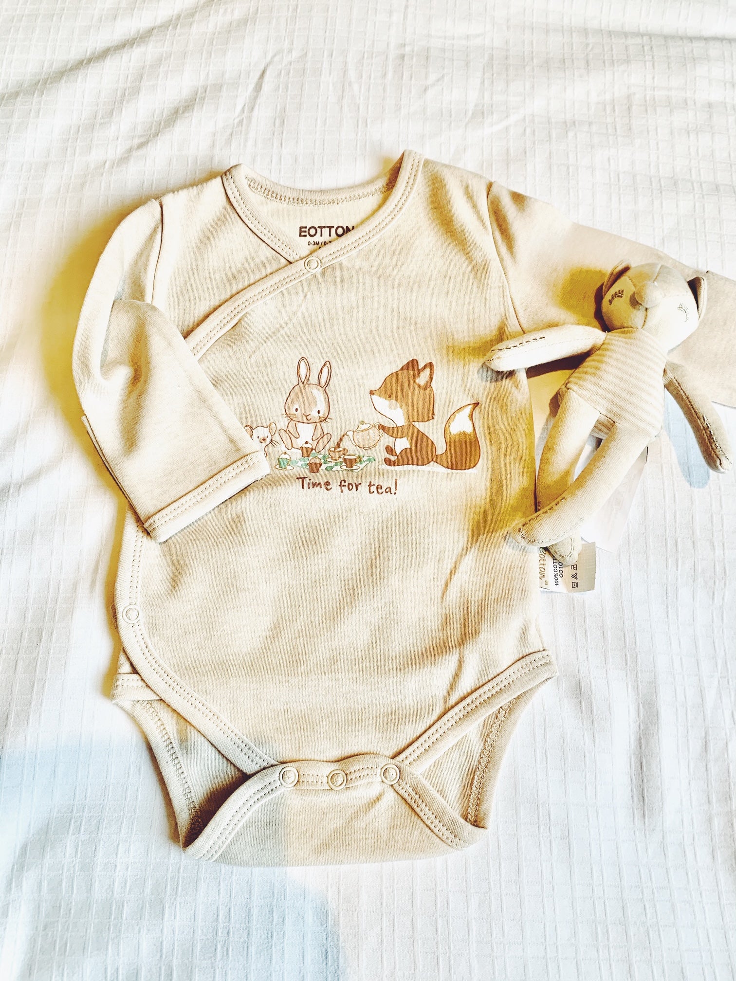 Organic Cotton Little Fox Luxury Baby Gift Set
