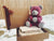 Coral Fleece Pink Teddy Bear Toy